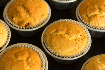 Group photo of muffins fresh from the oven.