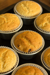 Group photo of muffins fresh from the oven.