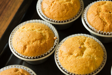 Group photo of muffins fresh from the oven.