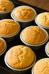 Group photo of muffins fresh from the oven.