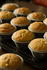 Group photo of muffins fresh from the oven.