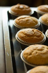 Group photo of muffins fresh from the oven.