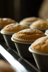 Macro photography of muffins fresh from the oven. 