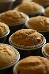 Macro photography of muffins fresh from the oven. 