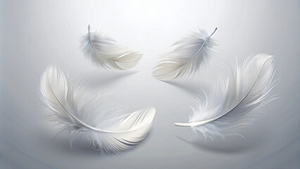 Obraz premium White feathers gently floating on a floor