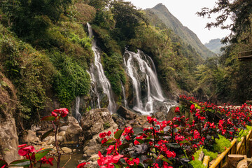 A picturesque view of Cat Cat Waterfall, featuring a stunning Begonia field and mountain scenery at Cat Cat Village in Sapa, Vietnam. © ARGENTOZENO_TH