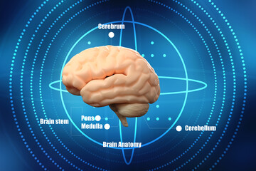 Fototapeta premium 3d illustration Human health brain 