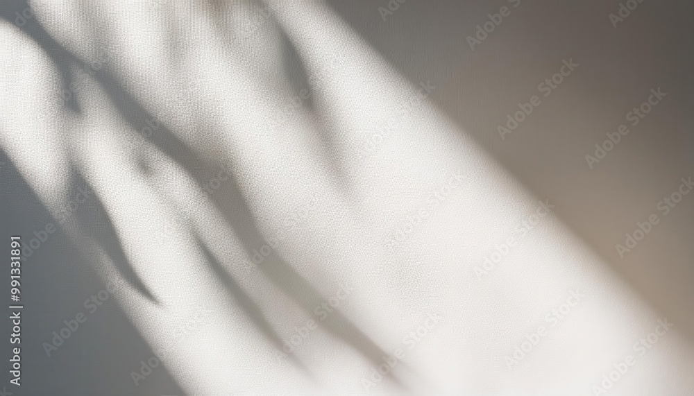 Poster Soft Sunlight Casting Gentle Shadows on Textured White Wall. Minimalist Natural Lighting Effect Creating Calm and Serene Atmosphere with Smooth Transition from Light to Shade. Background For Product 