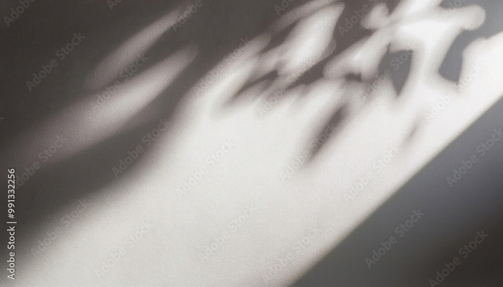 Poster Soft Sunlight Casting Gentle Shadows on Textured White Wall. Minimalist Natural Lighting Effect Creating Calm and Serene Atmosphere with Smooth Transition from Light to Shade. Background For Product 
