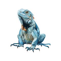 iguana vector illustration in watercolor style