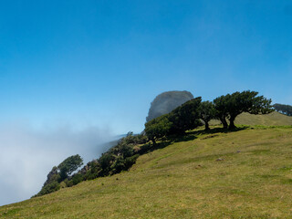 View over the cloud cover near Fanal in the northwest of Madeira.