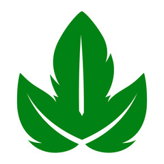 shape collection different green leaves of tree, plants, leaf and swirls branches. Stock vector icon, isolated white background. Element for ecographic, natural design, vegan logo, bio labels