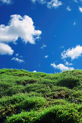 Obraz premium Lush green moss covers hillside under bright blue sky with fluffy white clouds, creating serene and tranquil landscape