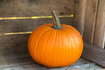 Orange pumpkin close-up in a wooden crate 