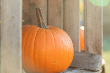 Orange pumpkin close-up in a wooden crate 