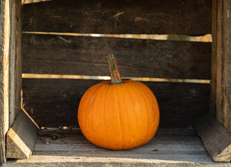 Orange pumpkin close-up in a wooden crate 