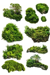 A collection of various sized and shaped moss-covered rocks, showcasing the growth and diversity of plant life on different terrains.