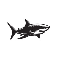 Obraz premium Shark silhouette vector design full black and white. Shark logo, icon design. shark black silhouette isolated on white background.