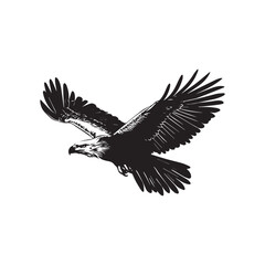 vector Silhouette of Flying Eagle bird