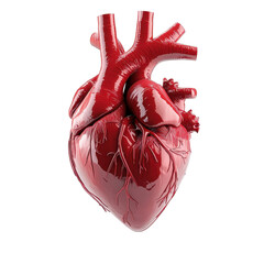 A red heart with a white background