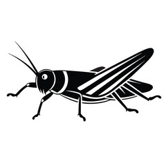  Grasshopper Silhouette Black, White victor art illustration eps