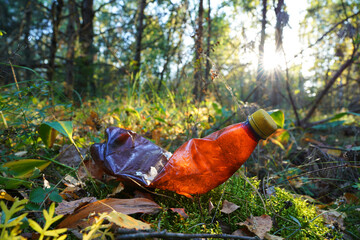 Plastic bottle thrown away in forest. Garbage in nature, reusable products. Rubbish thrown in forest. PET Plastic water bottle thrown out in nature. Waste in nature. Abandoned pet garbage waste.