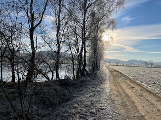 Winter