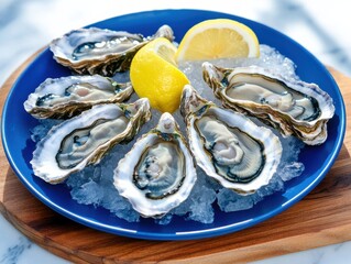 Fresh oysters on ice, garnished with lemon slices on a blue plate, showcasing their natural beauty and seafood delicacy.