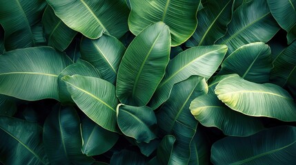 Close-up view of vibrant green leaves, perfect for a nature-inspired design.
