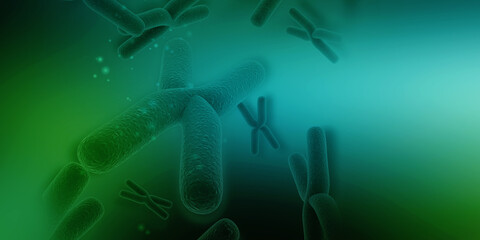 3d rendering human body chromosomes