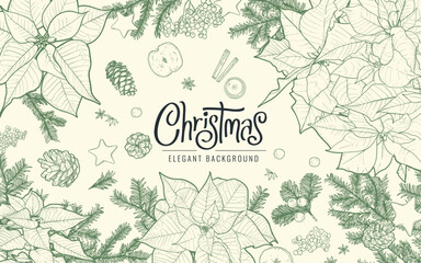 Modern Merry Christmas design with typography, poinsettia, pine cones, pine branches. Elegant vector hand drawn illustration for season banner, poster, cover