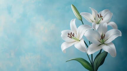 Fototapeta premium Minimalist abstract artwork showcasing delicate white lilies against a calming, powder blue backdrop