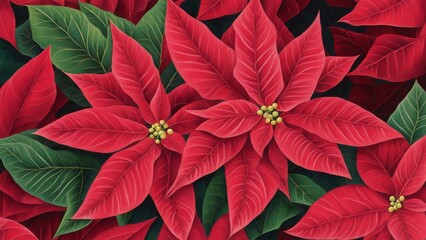 Obraz premium red poinsettia flower, christmas