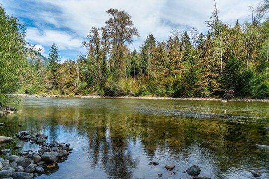 Forest And River 4