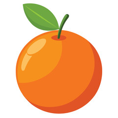 Orange fruit illustration on white background.