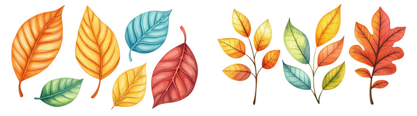 Obraz premium Colorful autumn leaves in various shapes and hues, isolated on transparent background
