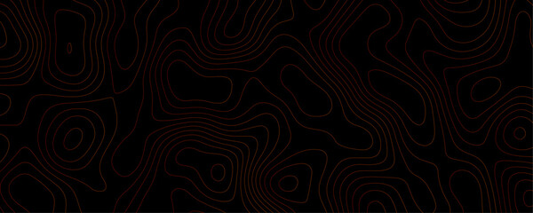 Abstract Topography Set A Collection of Black Color Vector Maps with Wavy Lines and Geographic Contour Patterns for Copy Space Templates
