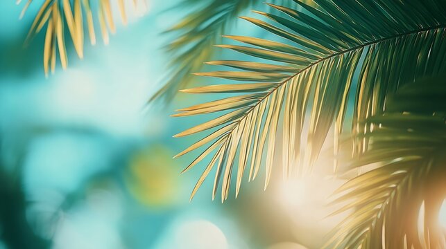 The leaves of palm trees on Sunny tropical beach  Summer vacation and tropical beach background concept : Generative AI