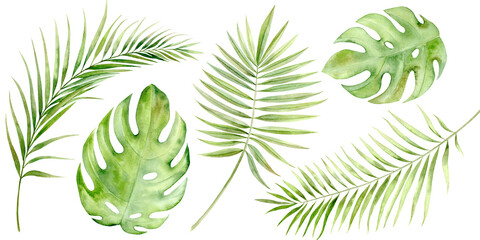 Monstered Leaves. Watercolor Clip Art The illustration is hand drawn in pastel colors. Suitable for card designs, textiles and scrapbooking.