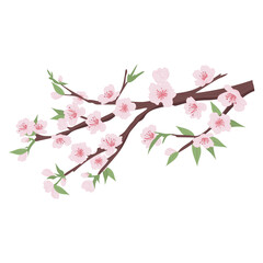 Sakura tree branch in flat design. Pink cherry blossoms with green leaves. Vector illustration isolated.