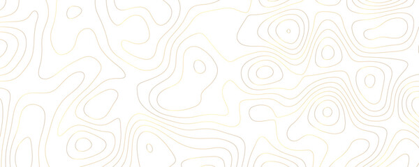 Digital Luxury Topography A Geometric Contour Map with Gold Wavy Line Patterns Curved Terrain Sketches and Organic Trail Designs