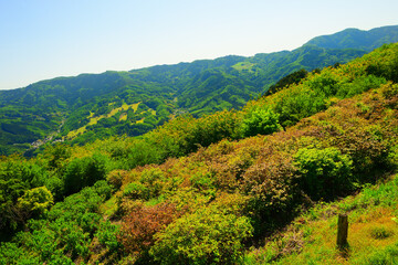 美の山公園　埼玉県秩父郡
