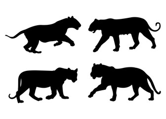 tiger black silhouette  