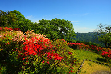 美の山公園　埼玉県秩父郡
