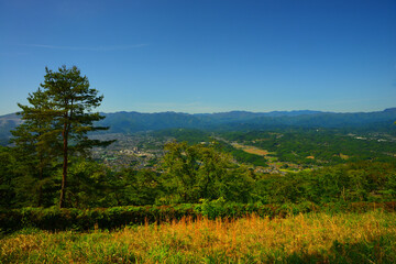 美の山公園　埼玉県秩父郡
