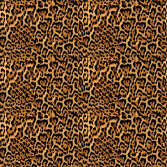 Leopard Animal Print Seamless Pattern 