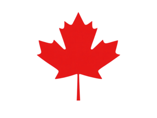 a red maple leaf on a white background