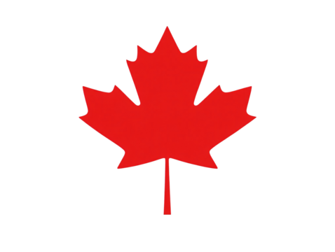 a red maple leaf on a white background