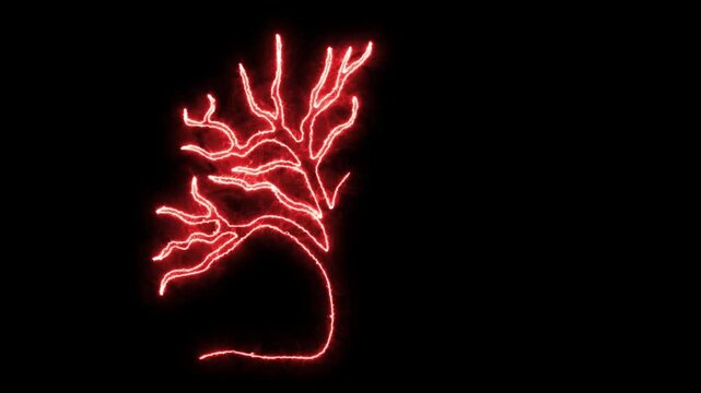 abstract Sprawling Tree without Leaves, Oak. Self drawing animation one continuous line draw, logo, Blazing flame, energy, fire
