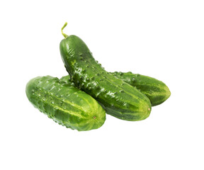 Cucumber isolated
